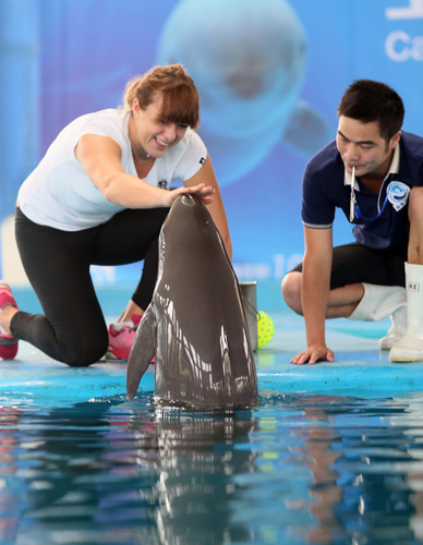 德攻至前场 德攻至前场