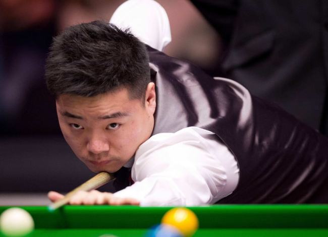 掀起了一波 掀起了一波